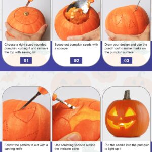 Luditek Pumpkin Carving Kit, 11 Pieces Halloween Jack-O-Lanterns Professional Stainless Steel Pumpkin Carving Tools, Pumpkin Cutting Supplies Tool Kit Halloween Gifts for Adults Kids