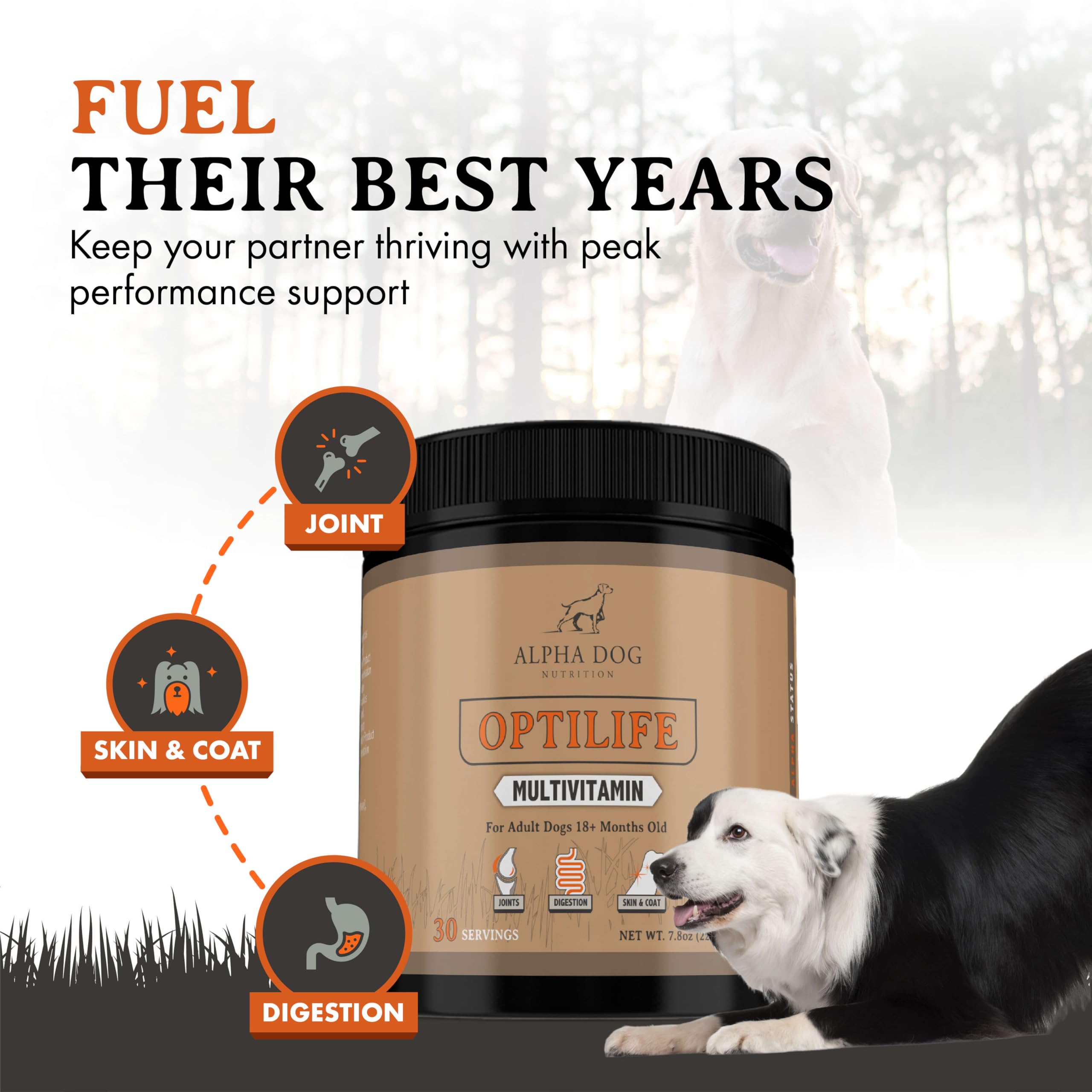 OptiLife Multivitamin for Adult Dogs - Contains Probiotics, Allergy Support, Joint Support, Muscle Recovery, and Skin & Coat Support - Powder Supplement (30 Servings)