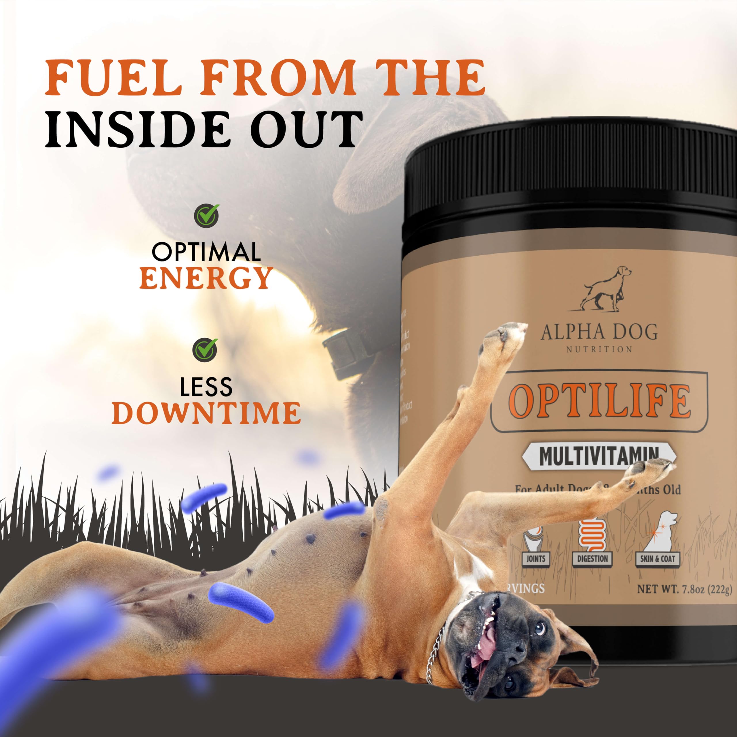 OptiLife Multivitamin for Adult Dogs - Contains Probiotics, Allergy Support, Joint Support, Muscle Recovery, and Skin & Coat Support - Powder Supplement (30 Servings)