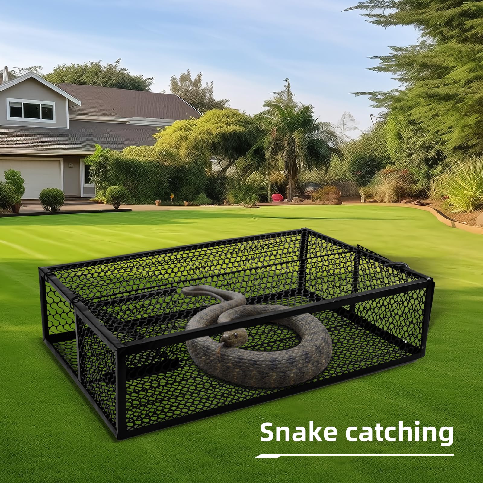 Snake Trap, Humane Capture Device for Unwanted Reptiles -Reusable!