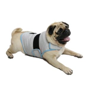 balancepaw dog anxiety vest, comfort dog anxiety relief coat, breathable dog calming vest for thunderstorm, travel, fireworks, vet visits（dog calming vest light grey blue m）