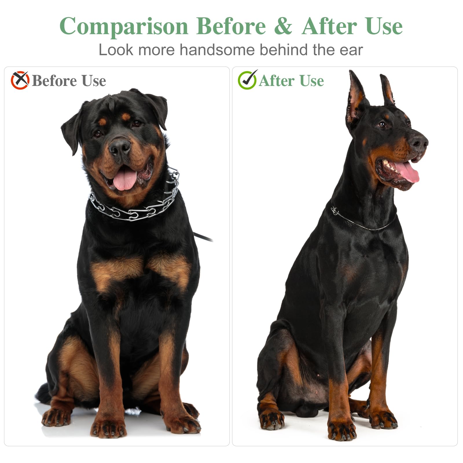 SUPVOX Dog Ear Posting Kit, 4 Pcs Dog Ear Stand Up Support Tool Dog Ear Fixed Correction Vertical Holder with Tape for Doberman Pinscher Dog Ears Sticker Up