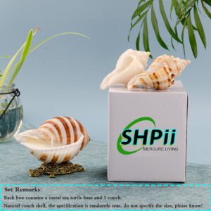 SHPii Handmade Natural Scented Candles - Conch Shell Soy Wax Candles Scented with Essential Oils, Home Scented Candles, Birthday, Christmas, Thanksgiving, Mother's Day, Stress Relief Gifts for Women