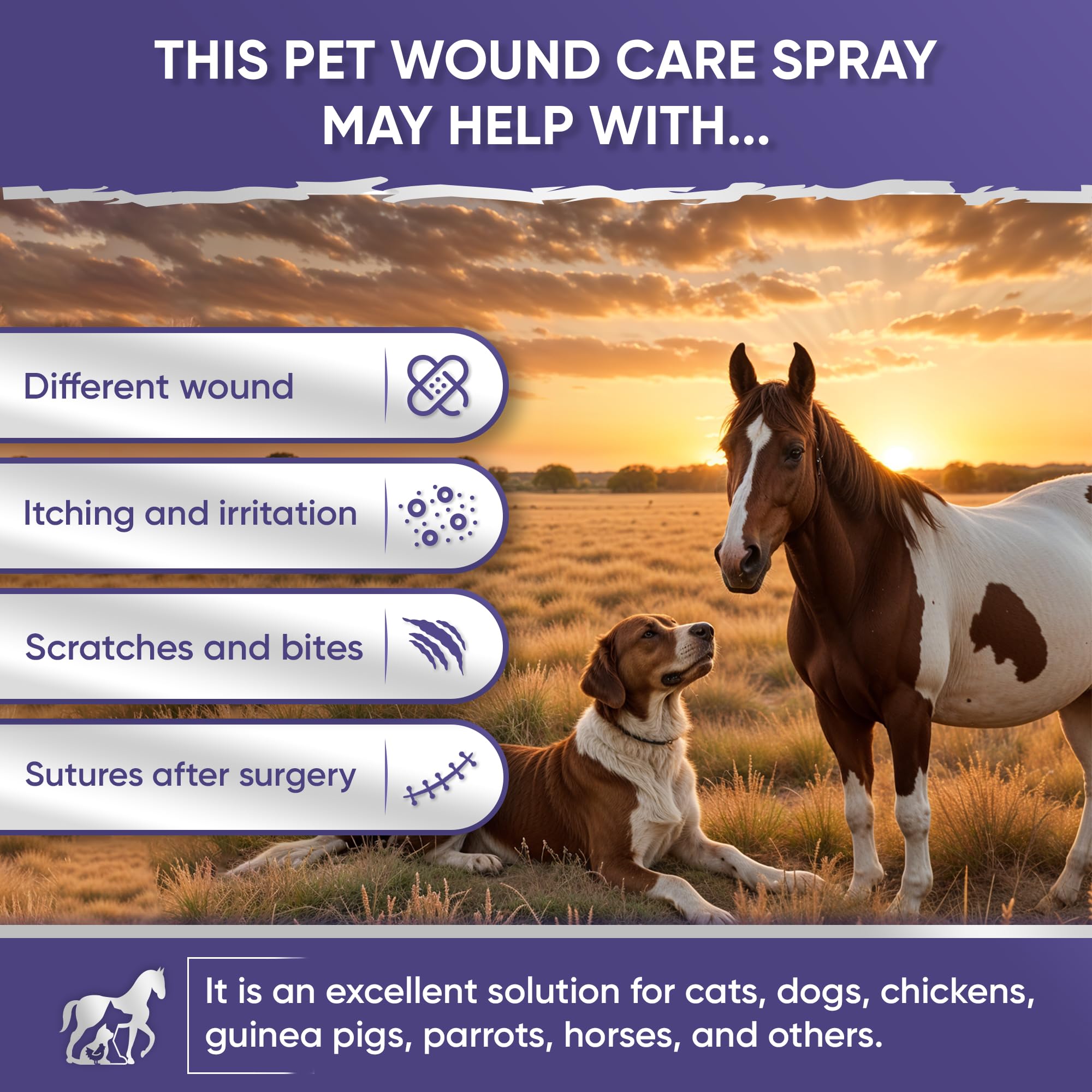 Dog Wound Spray | Cat and Dog Wound Care | Dog Itch Spray | Pet Wound Care + Lavender | Wound Care for Dogs | Cat Wound Care | Horse Wound Care | Wound Care for Cats | Chicken Wound Spray | 4 Oz