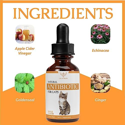 Life of Health Natural Antibiotics for Cats - Cat Antibiotics - Cat Antibiotic - Pet Antibiotics - Cat Immune Support - Antibiotic for Cats - Cat Multivitamin - Cat UTI Antibiotics -