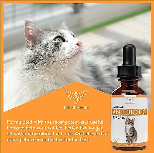 Life of Health Natural Antibiotics for Cats - Cat Antibiotics - Cat Antibiotic - Pet Antibiotics - Cat Immune Support - Antibiotic for Cats - Cat Multivitamin - Cat UTI Antibiotics -