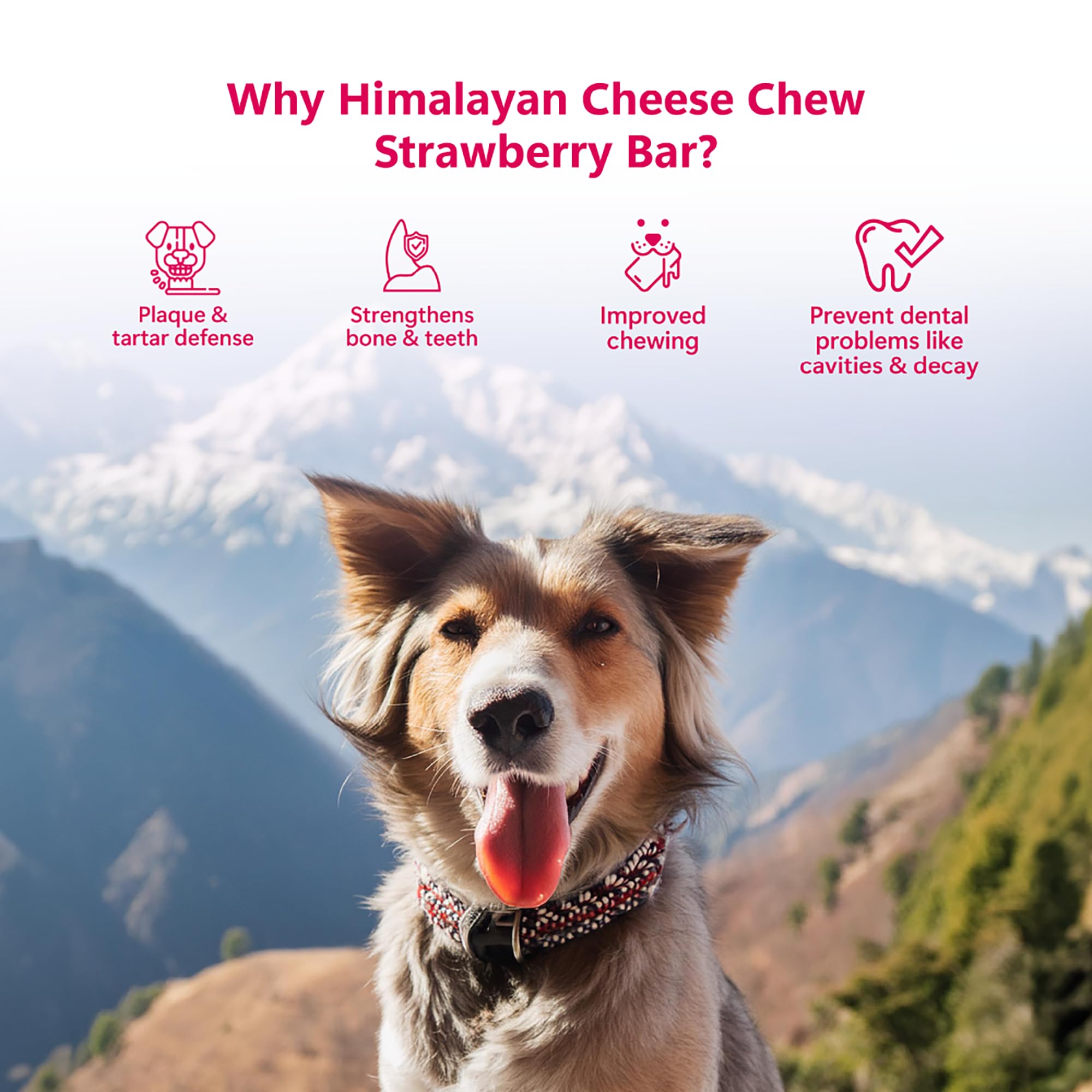 Himalayan Dog Chews Long Lasting - Strawberry Yak Cheese Dental Chews for Dogs | Promotes Healthy Teeth & Bones | Healthy Dog Treats for Large Dogs (14.81oz, Pack of 3) Pawfect