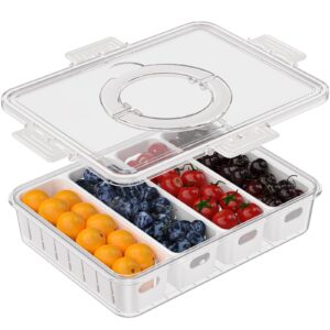 anyvape portable food storage container with lid & handle,4-compartment leak-proof tray with removable colanders,fresh-keeping organizer for fruits,snacks,meal prep,ideal for refrigerator,outdoor use