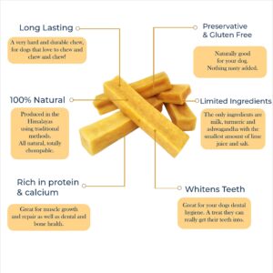 Himalayan Dog Chews Long Lasting - Turmeric Ashwagandha Yak Cheese Dental Chews for Dogs | Promotes Immunity | Healthy Dog Treats for Large Dogs (14.81oz, Pack of 3) Pawfect