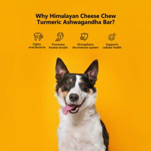 Himalayan Dog Chews Long Lasting - Turmeric Ashwagandha Yak Cheese Dental Chews for Dogs | Promotes Immunity | Healthy Dog Treats for Large Dogs (14.81oz, Pack of 3) Pawfect