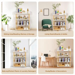 Petpvilit 4-Tier Wooden Bookshelf, Modern Open Bookcase with Top Edge and Solid Wood Frame, Freestanding Bookshelf Storage Organizer for Home Office Living Room