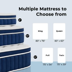 Rolanstar Queen Size Mattress, 12 Inch Foam Hybrid Mattress with Independent Spring, Medium Firm Mattress in a Box, Breathable and Pressure Relief, CertiPUR-US