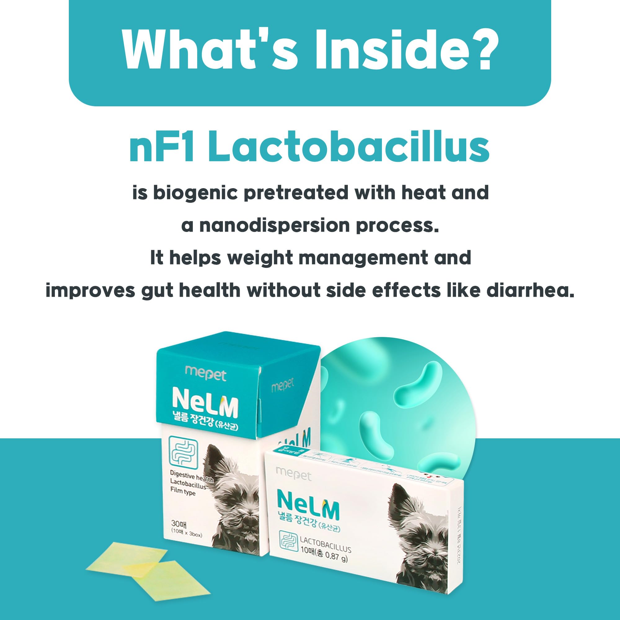 Mepet Gut Support for Dogs - Mouth Dissolving Strips, Gut and Digestive Health with nF1 Lactobacillus, Probiotic - Anti Diarrhea, Boost Immune System - Allergens and Additives Free - Beef, 30 Strips