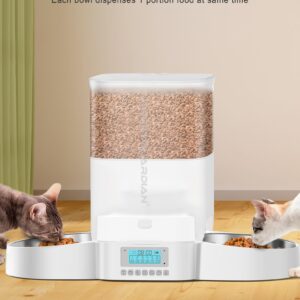 HoneyGuaridan Automatic Cat Feeder for Two Cats,3.5L Cat Food Dispenser with Stainless Steel Bowl,Timed Cat Feeder Programmable 1-6 Meals Control, Dual Power Supply,Desiccant Bag,10s Meal Call Whit