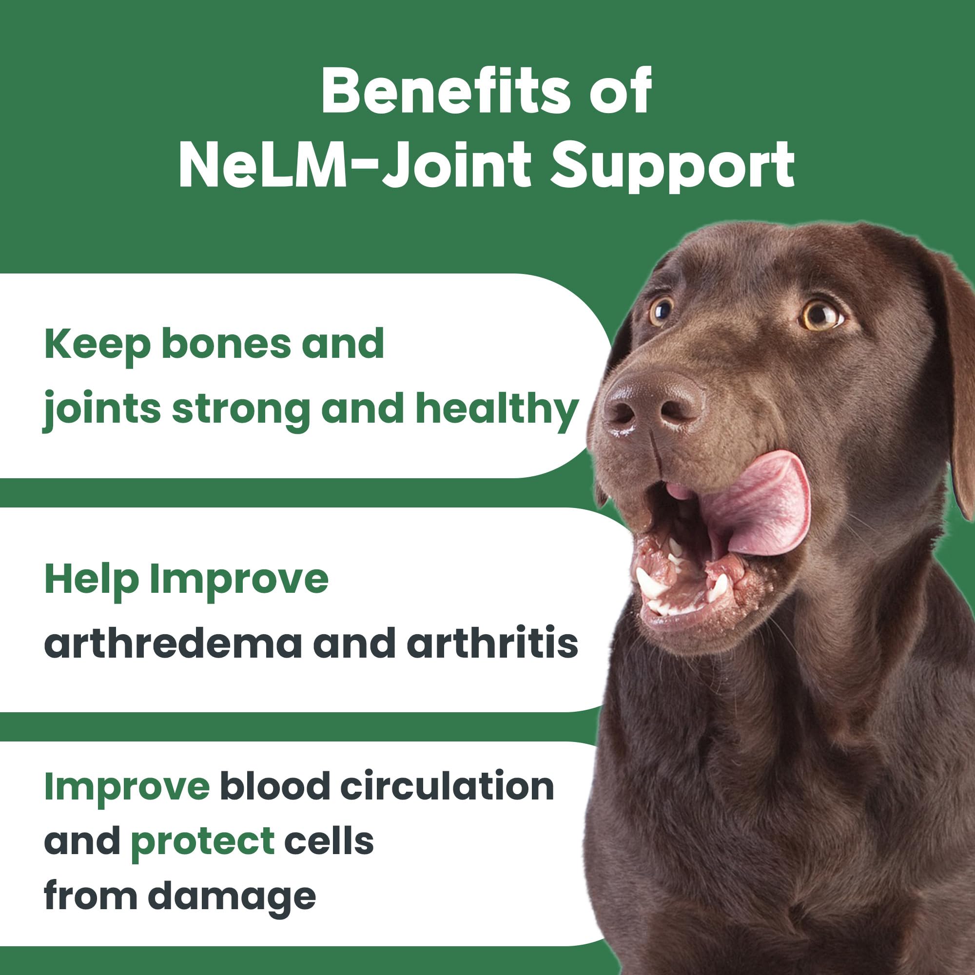 Mepet Joint Support for Dogs - Mouth Dissolving Strips, Green Lipped Mussel Hip & Joint Health Supplement, Vitamin D3 & E for Arthritis - No Allergen & Additive - Pet Health Supplies - Beef, 30 Strips