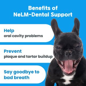 Mepet Dental Support for Dogs - Mouth Dissolving Strips, Dental Care with Propolis Extract, Remove Plaque & Tartar, Bad Dog Breath - No Allergens and Additives - Pet Health Supplies - Beef, 30 Strips