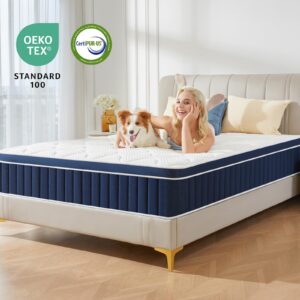 Rolanstar Queen Size Mattress, 12 Inch Foam Hybrid Mattress with Independent Spring, Medium Firm Mattress in a Box, Breathable and Pressure Relief, CertiPUR-US