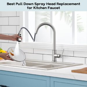 DEERFEI Pull Down Kitchen Faucet Spray Head Replacement, 3-Function Nozzle with 11 Adapters, Brushed Nickel