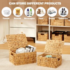 Edergoo Wicker Basket with Lid, Water Hyacinth Storage Baskets for Shelves, Large & Small Wicker Storage Basket with Lid and Built-in Handles, Hand Woven Wicker Baskets for Storage 2 Pack