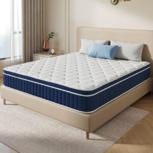 Rolanstar Queen Size Mattress, 12 Inch Foam Hybrid Mattress with Independent Spring, Medium Firm Mattress in a Box, Breathable and Pressure Relief, CertiPUR-US