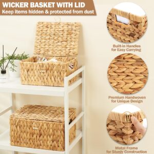 Edergoo Wicker Basket with Lid, Water Hyacinth Storage Baskets for Shelves, Large & Small Wicker Storage Basket with Lid and Built-in Handles, Hand Woven Wicker Baskets for Storage 2 Pack