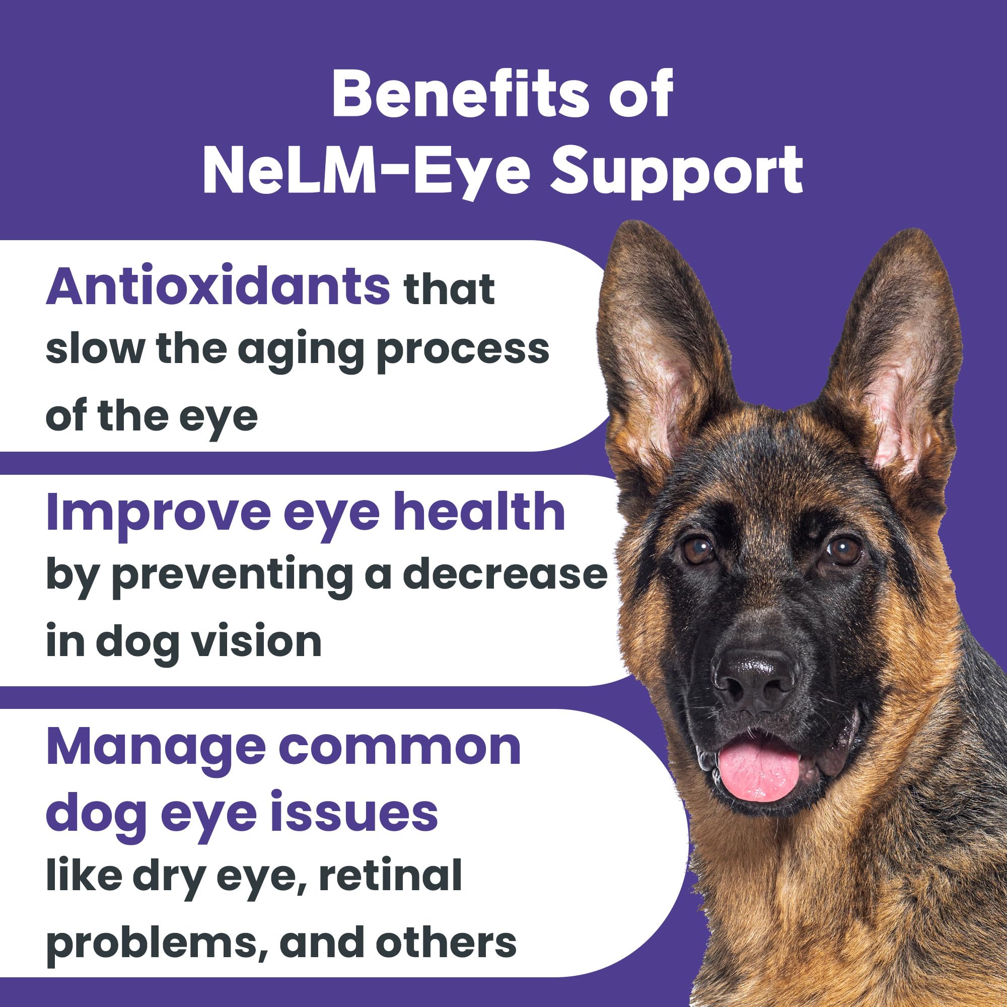 Mepet Eye Support for Dogs - Mouth Dissolving Strips, Eye Care and Vision Supplement - Antioxidants, Lutein, Beta-Carotene, Vitamin C & E for Eye Infection - Pet Health Supplies - Beef, 30 Strips