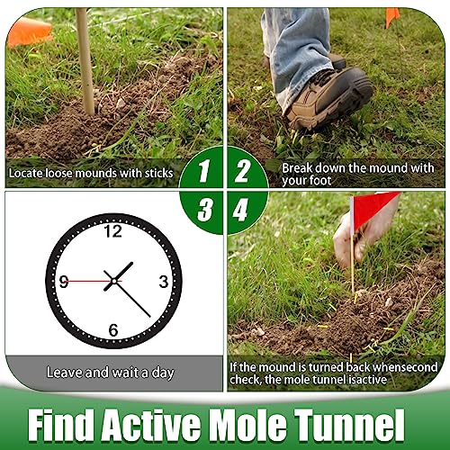 2 Pack Mole Traps That Kill Best, Scissor Mole Traps for Lawns Vole Traps Outdoor Use, Mole Trap Easy to Set Galvanized Steel Reusable Quick Capture Gopher