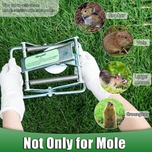 2 Pack Mole Traps That Kill Best, Scissor Mole Traps for Lawns Vole Traps Outdoor Use, Mole Trap Easy to Set Galvanized Steel Reusable Quick Capture Gopher