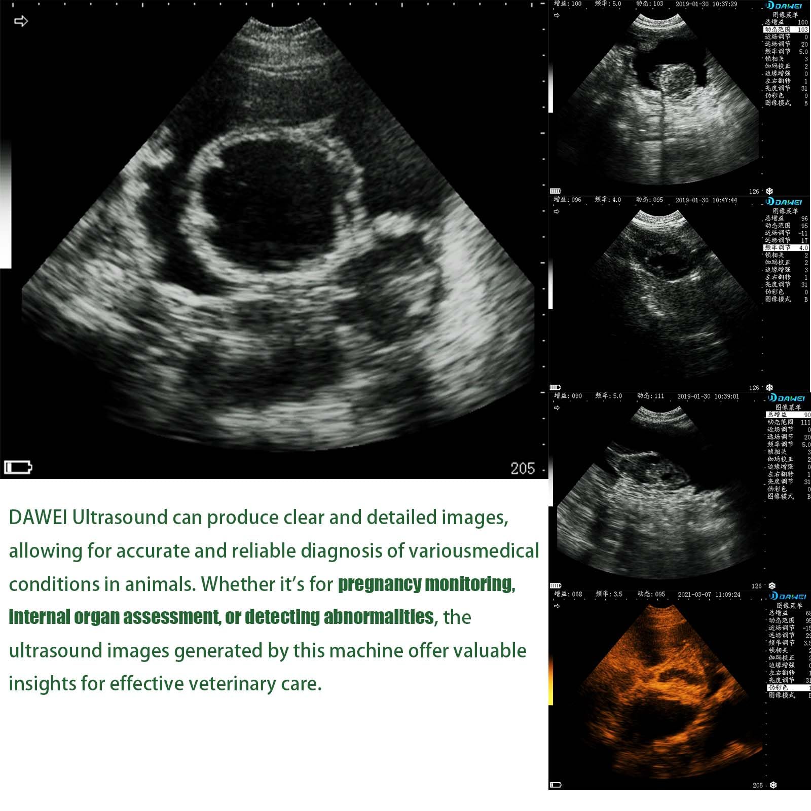 DAWEIanimed S0 Vet Ultrasound Machine for Pregnancy Veterinary Ultrasound Scanner with 3.5Mhz Convex Probe for Dog,Cat,Goat,Pig…