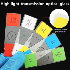 Microscope Slides for Kids Ages 8+, 60 Prepared Microscope Slides with Specimens of Animals Plants Microbe Cells and Histology Anatomy, Customized Prepared Slides for 3rd-8th Grade Kids Students