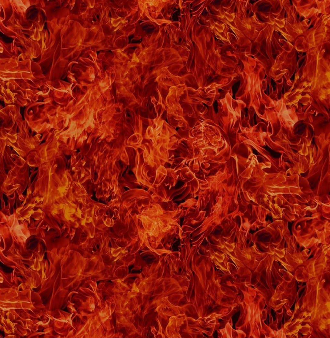 Dragon's Lair by Timeless Treasures Red Orange Dragon Fire Cotton Fabric by The Yard, CD2494-GREY