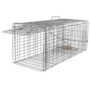 ECOOOL Large Live Animal Trap Cage 30""x11""x12"" Collapsible Heavy Duty Humane Live Animal Trap for Raccoons,Squirrel,Cats,Gopher,Beavers,Chipmunk,Groundhogs,Shunks,Easy to Catch and Release, Silver