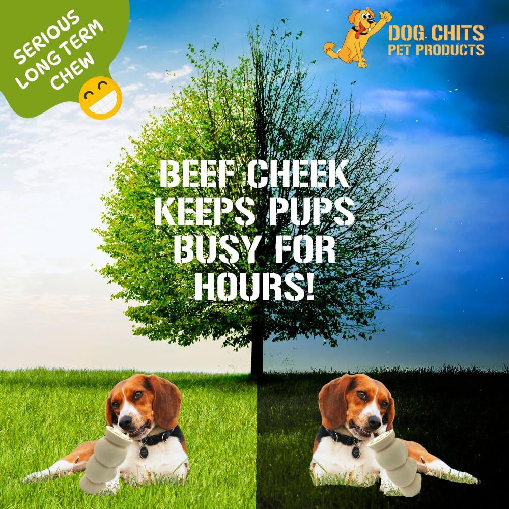 Dog Chits Beef Cheek 12", 3 Pack, Dog and Puppy Chews, Thick, Lasts for Days, 100% Cheek (not Hide), Single Ingredient, All Natural, Fully Digestible