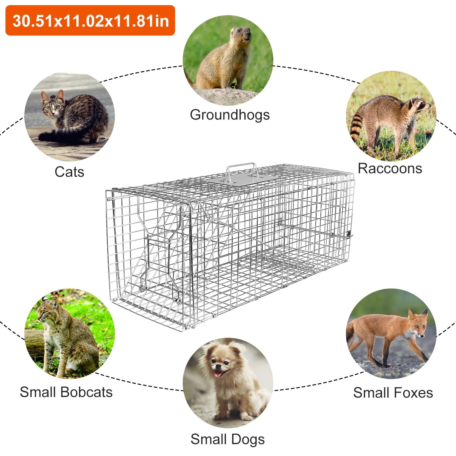 ECOOOL Large Live Animal Trap Cage 30""x11""x12"" Collapsible Heavy Duty Humane Live Animal Trap for Raccoons,Squirrel,Cats,Gopher,Beavers,Chipmunk,Groundhogs,Shunks,Easy to Catch and Release, Silver