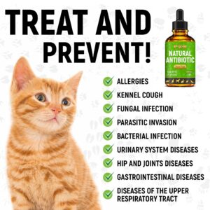 Cat Antibiotic | Natural Antibiotics for Dogs | Antibiotic for Cats | Dog Antibiotic | Natural Antibiotics for Cats | Chicken Flavor | 2 oz