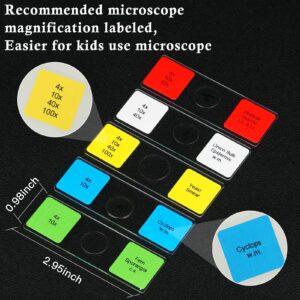 Microscope Slides for Kids Ages 8+, 60 Prepared Microscope Slides with Specimens of Animals Plants Microbe Cells and Histology Anatomy, Customized Prepared Slides for 3rd-8th Grade Kids Students