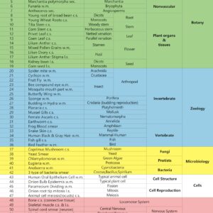 Microscope Slides for Kids Ages 8+, 60 Prepared Microscope Slides with Specimens of Animals Plants Microbe Cells and Histology Anatomy, Customized Prepared Slides for 3rd-8th Grade Kids Students