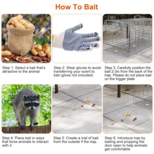 ECOOOL Large Live Animal Trap Cage 30""x11""x12"" Collapsible Heavy Duty Humane Live Animal Trap for Raccoons,Squirrel,Cats,Gopher,Beavers,Chipmunk,Groundhogs,Shunks,Easy to Catch and Release, Silver