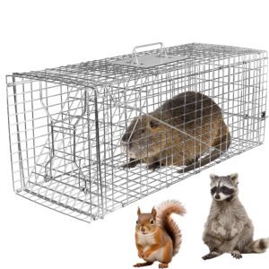 ecoool large live animal trap cage 30""x11""x12"" collapsible heavy duty humane live animal trap for raccoons,squirrel,cats,gopher,beavers,chipmunk,groundhogs,shunks,easy to catch and release, silver