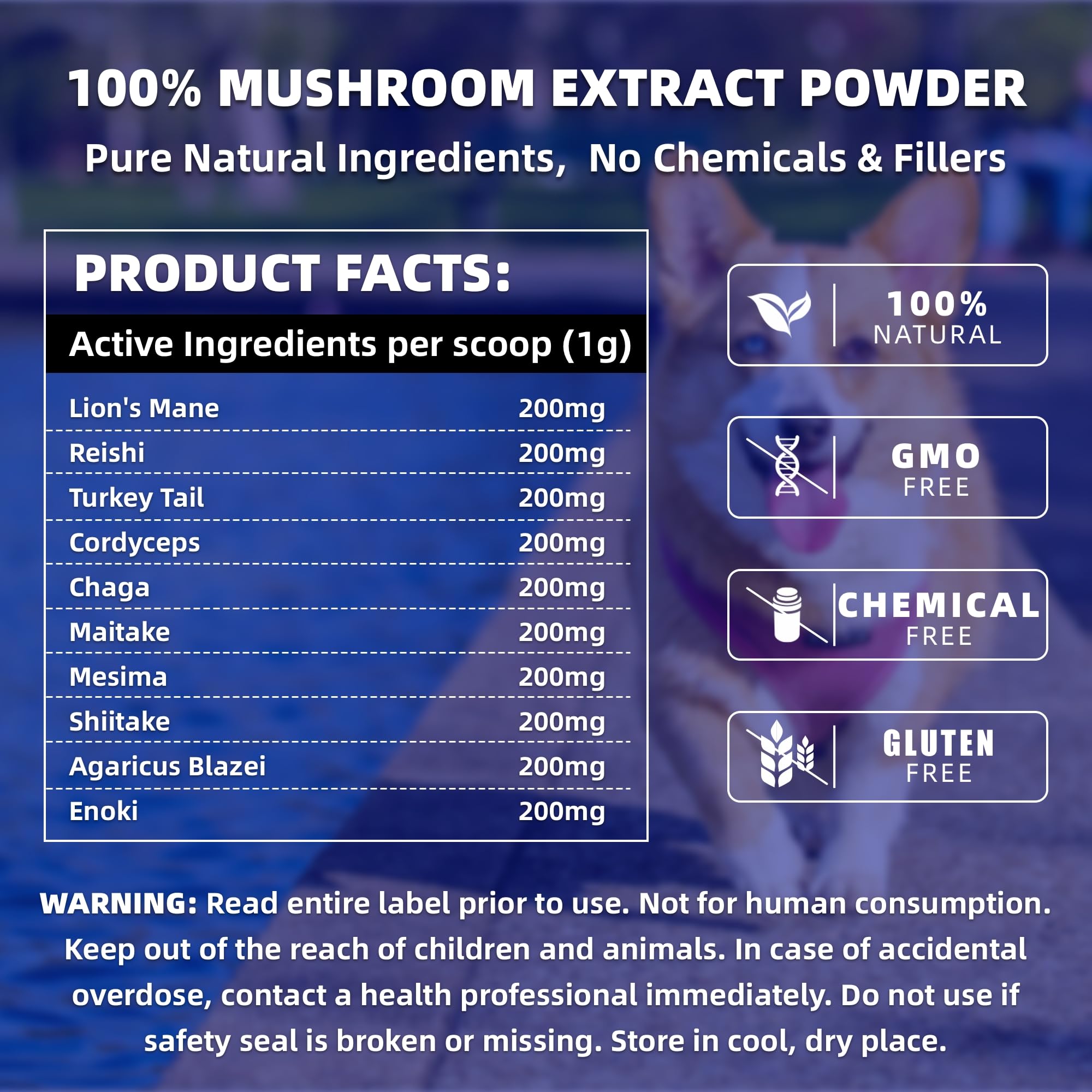 Mushrooms Extract Powder for Dogs & Cats - 10 Mushrooms Complex Pet Supplement for Immunity, Cellular Health, Cognition, Longevity - Lion's Mane, Turkey Tail, Reishi for Dogs & Cats - 3.53 oz / 100g