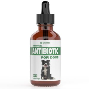 natural dog antibiotics - antibiotics for dogs - antibiotic for dog - yeast infection treatment for dogs - dog yeast infection treatment - itch relief for dogs - 1 fl oz - bacon flavor