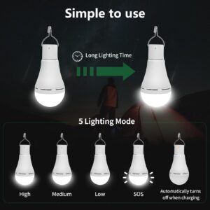 USB Rechargeable LED Light Bulbs, 2-Pack Hiwevvy Portable Camping Light with Remote Timer, Hook, 5 Lighting Modes, 1500mAh Smart Light Bulbs for Emergency, Camping, Hiking, Hurricane Outage