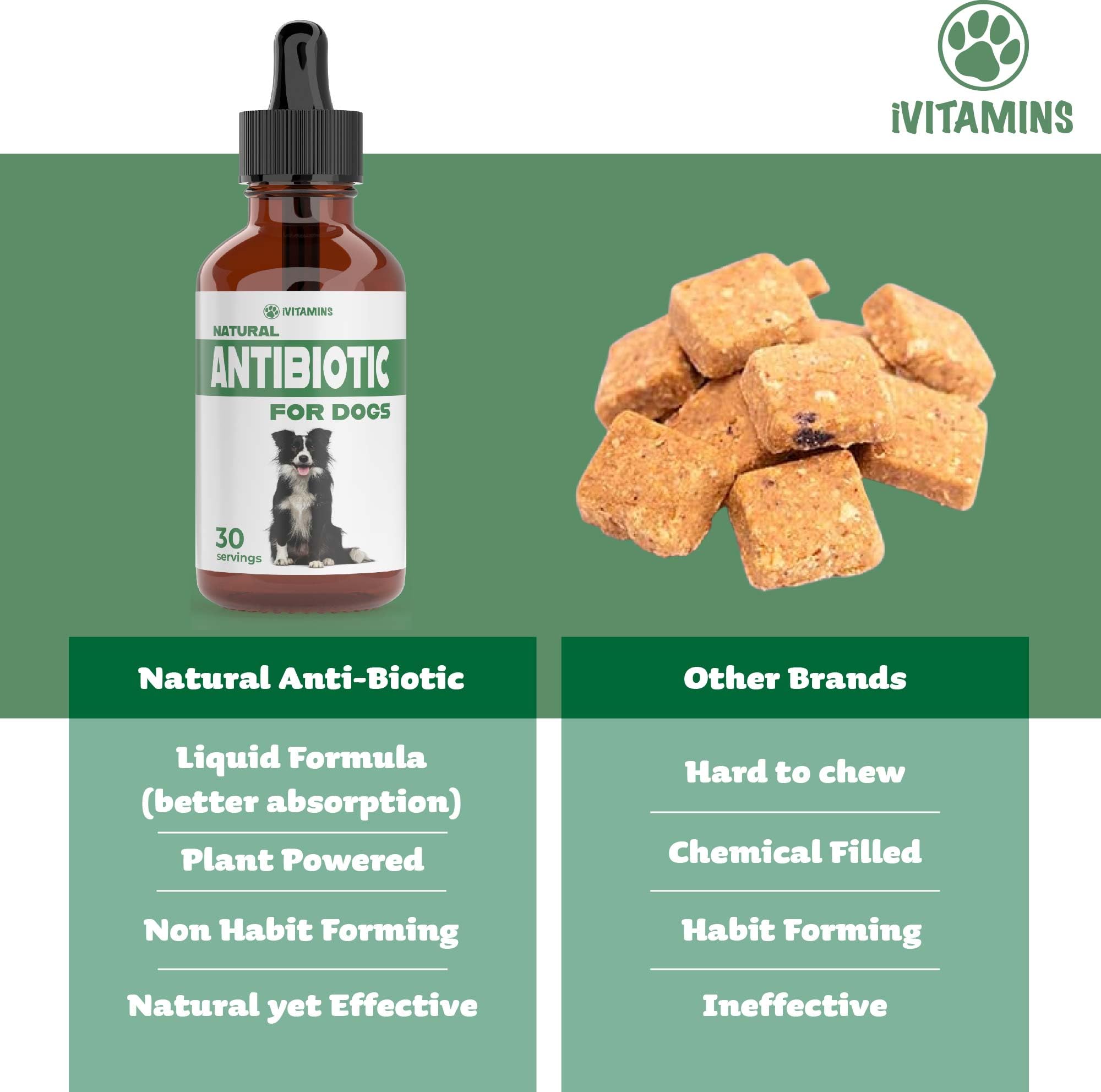 Natural Dog Antibiotics - Antibiotics for Dogs - Antibiotic for Dog - Yeast Infection Treatment for Dogs - Dog Yeast Infection Treatment - Itch Relief for Dogs - 1 fl oz - Bacon Flavor