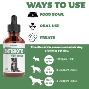 Natural Dog Antibiotics - Antibiotics for Dogs - Antibiotic for Dog - Yeast Infection Treatment for Dogs - Dog Yeast Infection Treatment - Itch Relief for Dogs - 1 fl oz - Bacon Flavor