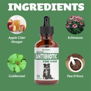 Natural Dog Antibiotics - Antibiotics for Dogs - Antibiotic for Dog - Yeast Infection Treatment for Dogs - Dog Yeast Infection Treatment - Itch Relief for Dogs - 1 fl oz - Bacon Flavor