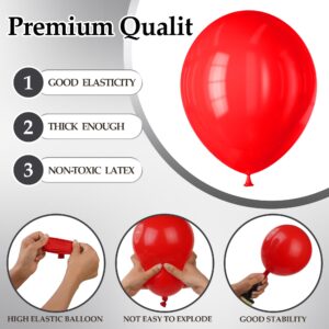 DECOCKRAT Assorted Latex Balloons Kit - 110PCS Party Balloons, 12'' Helium Balloon Set with Ribbon, Perfect for DIY, Birthday, Baby Shower, Wedding, Anniversary & Holiday Decoration