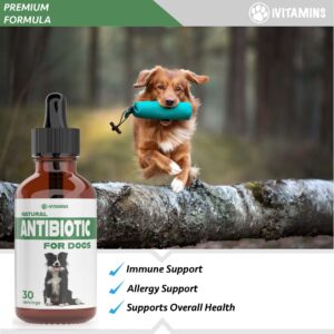 Natural Dog Antibiotics - Antibiotics for Dogs - Antibiotic for Dog - Yeast Infection Treatment for Dogs - Dog Yeast Infection Treatment - Itch Relief for Dogs - 1 fl oz - Bacon Flavor