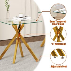 IANIYA Modern Glass End Tables Set of 2 - Stylish and Durable for Any Space (End Table x2, Gold)