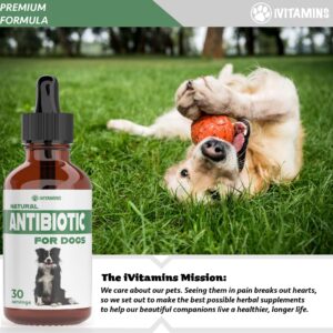 Natural Dog Antibiotics - Antibiotics for Dogs - Antibiotic for Dog - Yeast Infection Treatment for Dogs - Dog Yeast Infection Treatment - Itch Relief for Dogs - 1 fl oz - Bacon Flavor