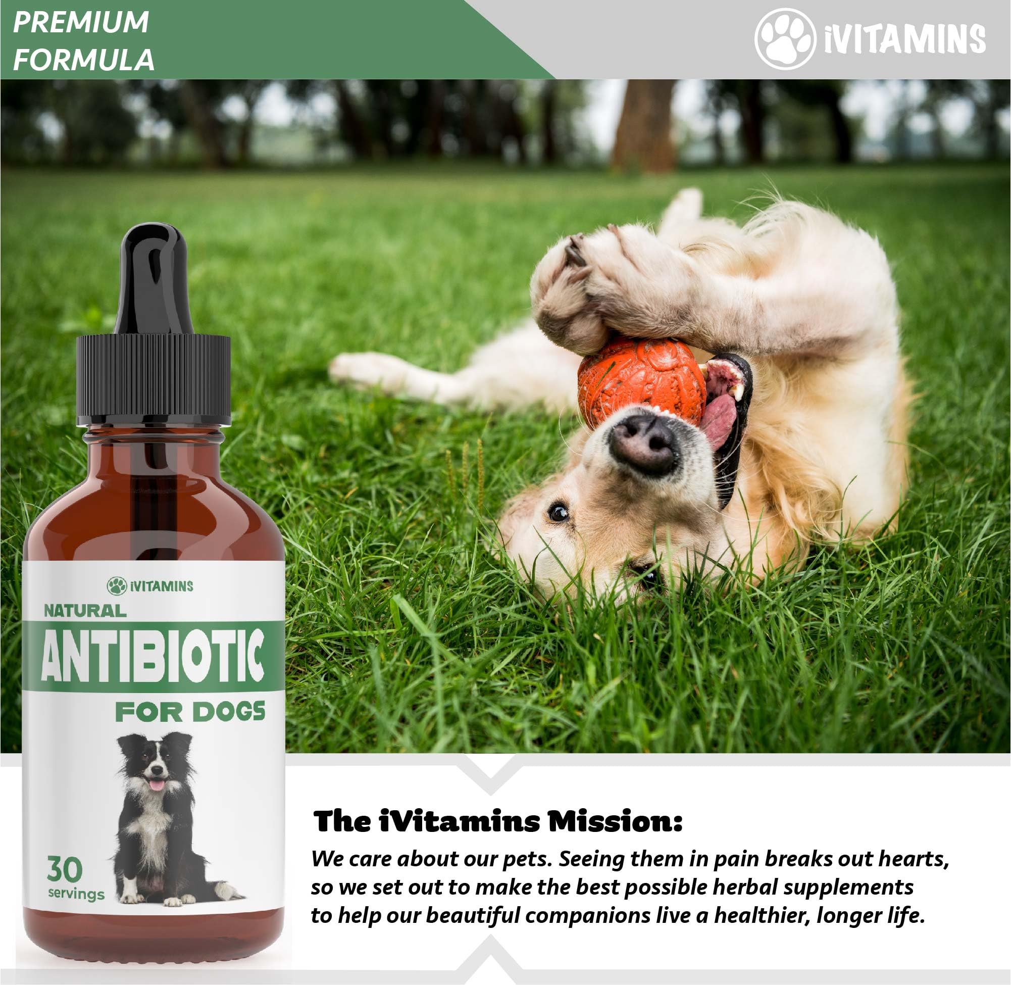 Natural Dog Antibiotics - Antibiotics for Dogs - Antibiotic for Dog - Yeast Infection Treatment for Dogs - Dog Yeast Infection Treatment - Itch Relief for Dogs - 1 fl oz - Bacon Flavor